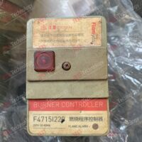 Repair FLAMYAC F4715I220 burner controller F15180829000025 in Malaysia, Singapore, Thailand, Indonesia