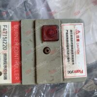 Repair FLAMYAC F4715I220 burner controller F15190623000030 in Malaysia, Singapore, Thailand, Indonesia