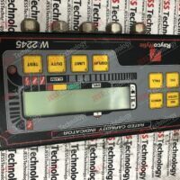 Repair RAYCOWYLIE 33D2247-01 Rated capacity indicator 13-39-054 in Malaysia, Singapore, Thailand, Indonesia